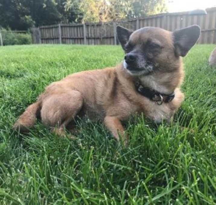 Photo of Paco (2019)