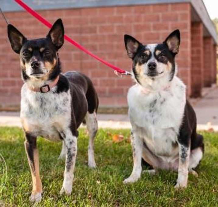 Photo of Bridget 2015