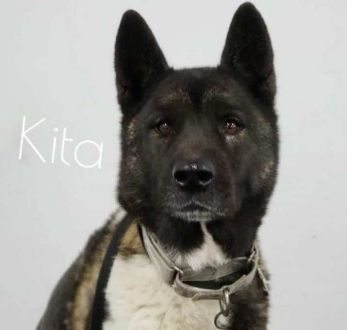 Photo of Kiyoshi aka Baby Girl