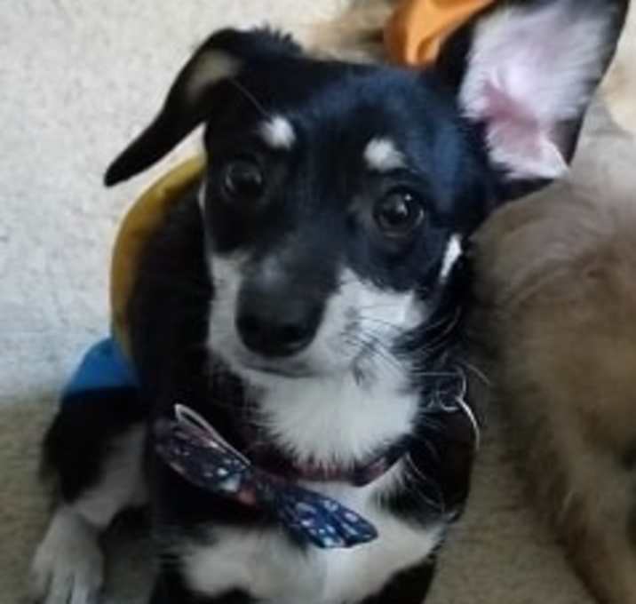 Photo of Joey (Phoebe's brother)