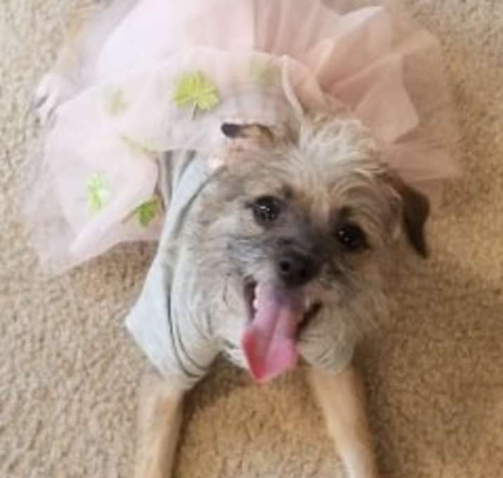 Photo of Phoebe (Joey's sister)