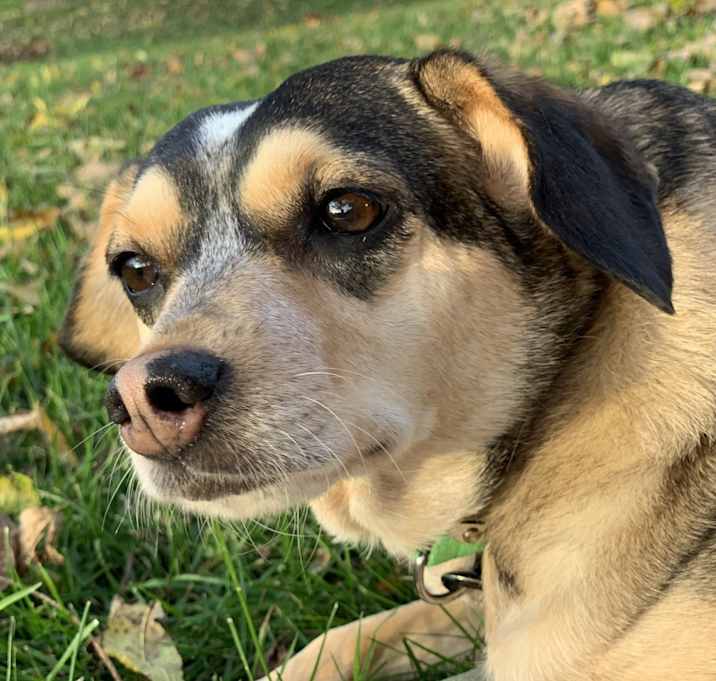 Photo of Cara Starbuck