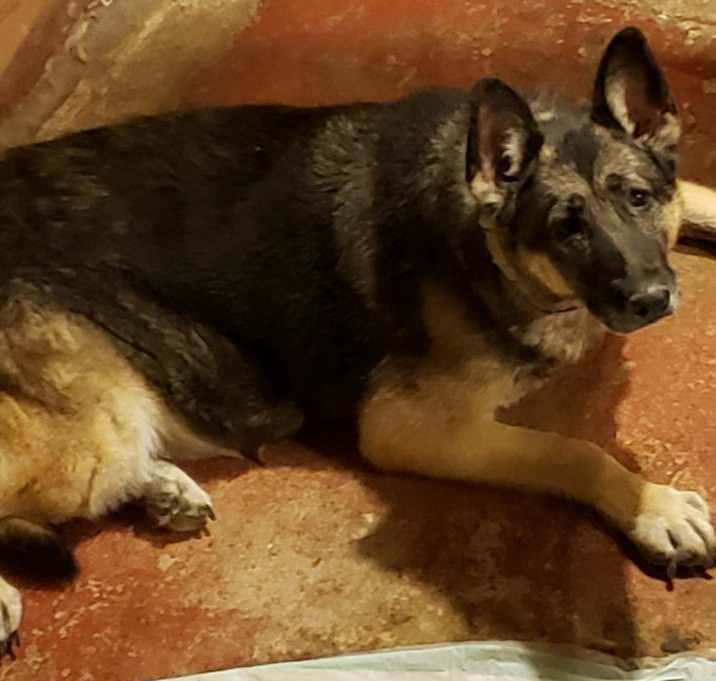 Photo of Lexi & Haley 