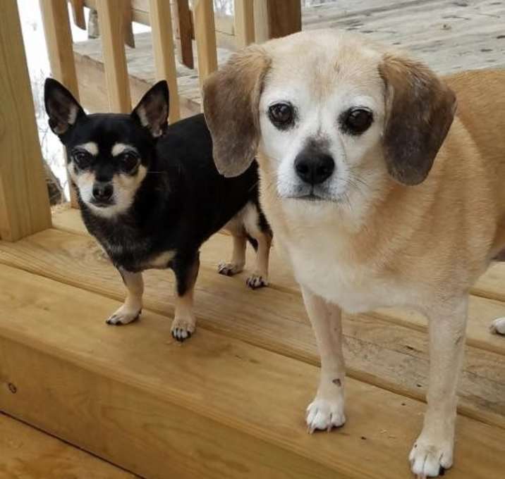 Photo of Heidi & Charlie