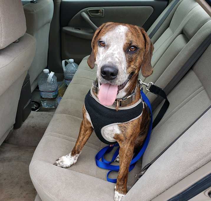 Photo of Doug/Gunner