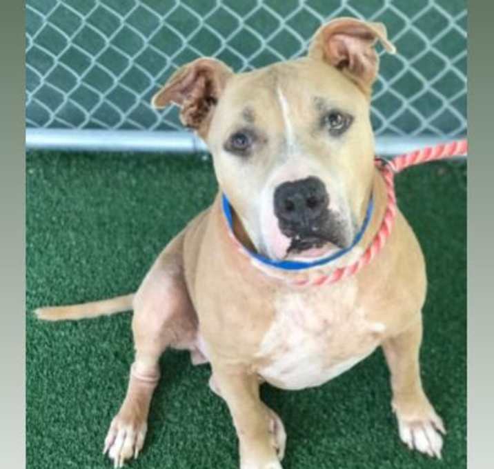 Photo of MARCUS - see video