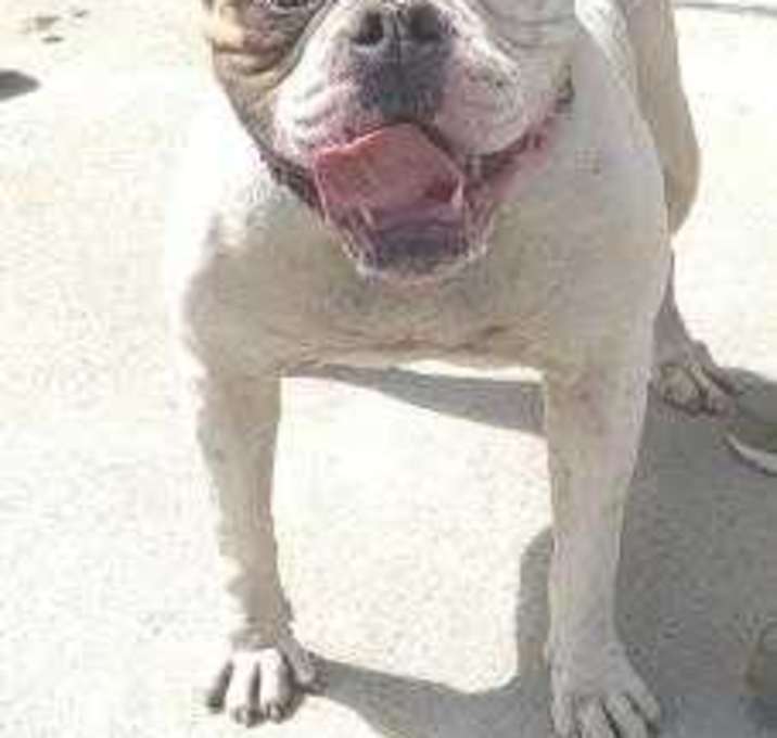 Photo of MARINA 'RINA'