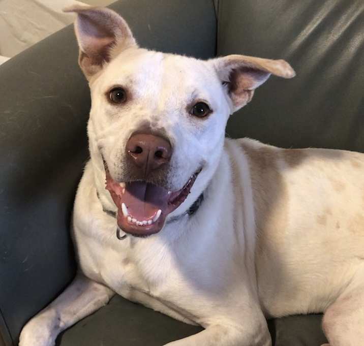 Photo of Mr. T in CT