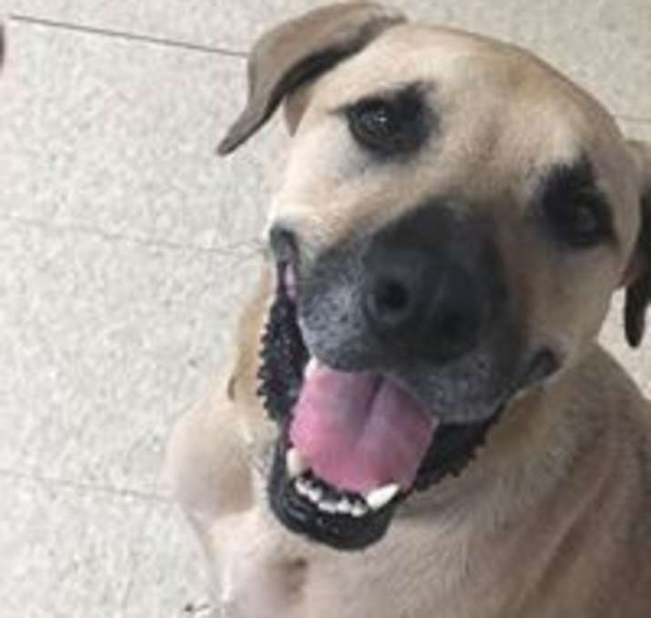 Photo of Prince Romeo