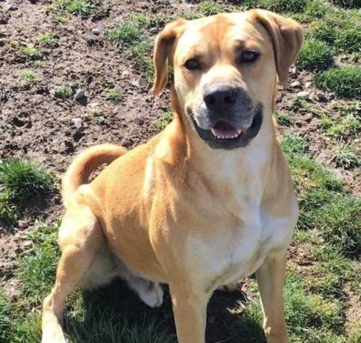 Photo of MARVIN -- ** See DNA Test Results **