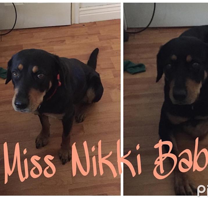 Photo of Miss Nikki Baby 