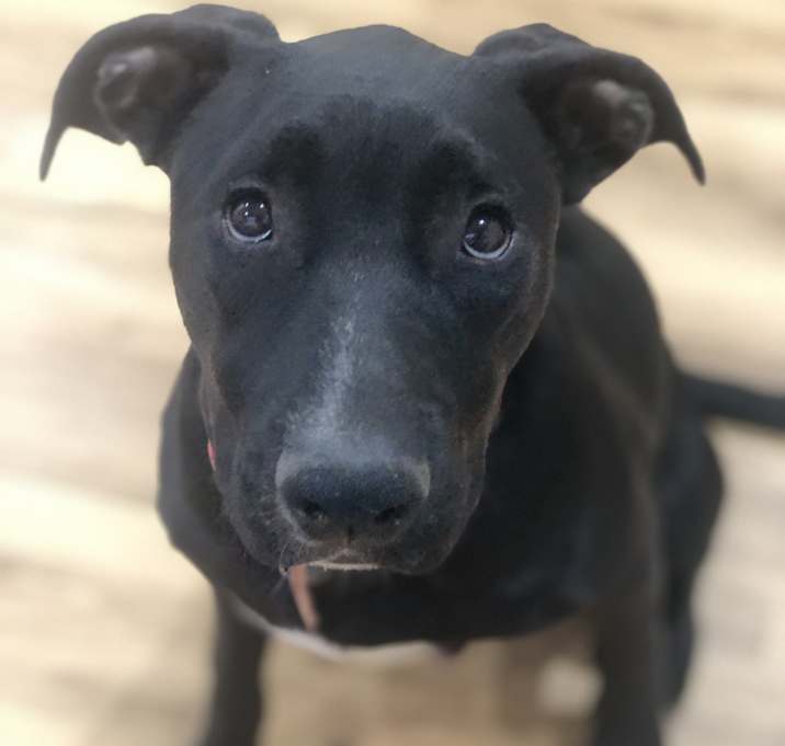 Photo of Nipsey & Hussle