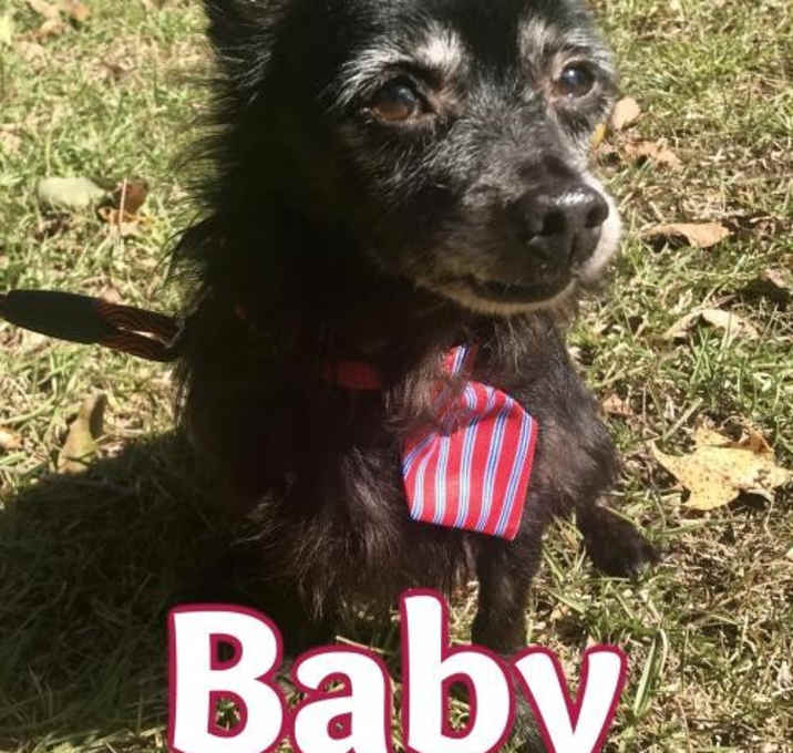 Photo of Baby in Texarkana, TX