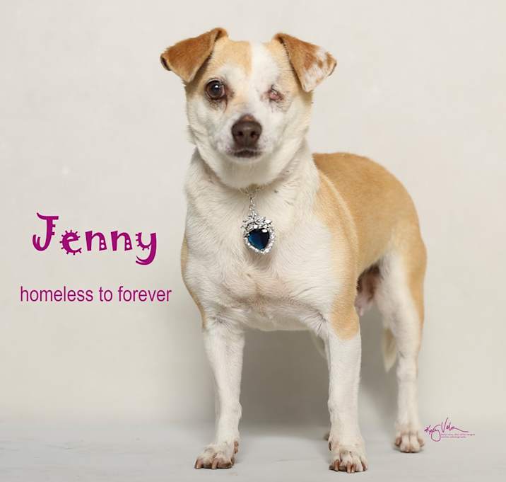 Photo of Jenny