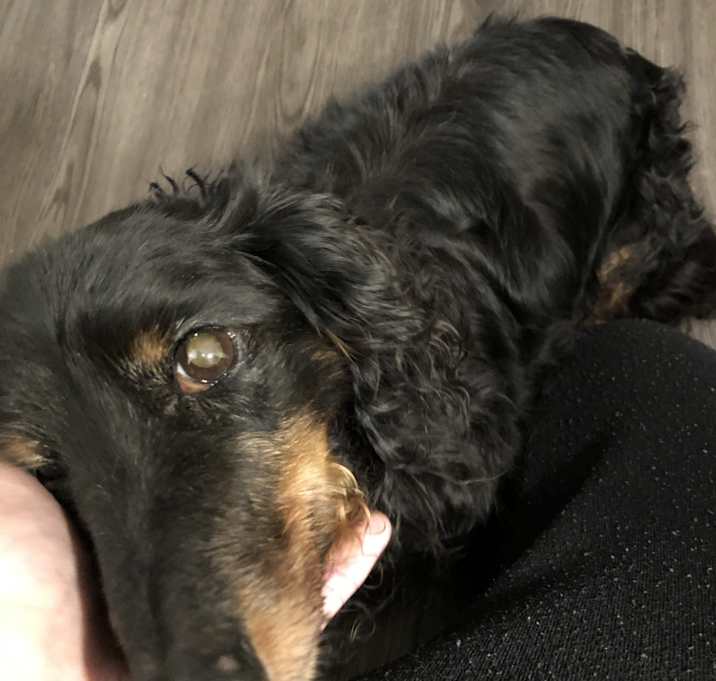 Photo of Winston Churchill 