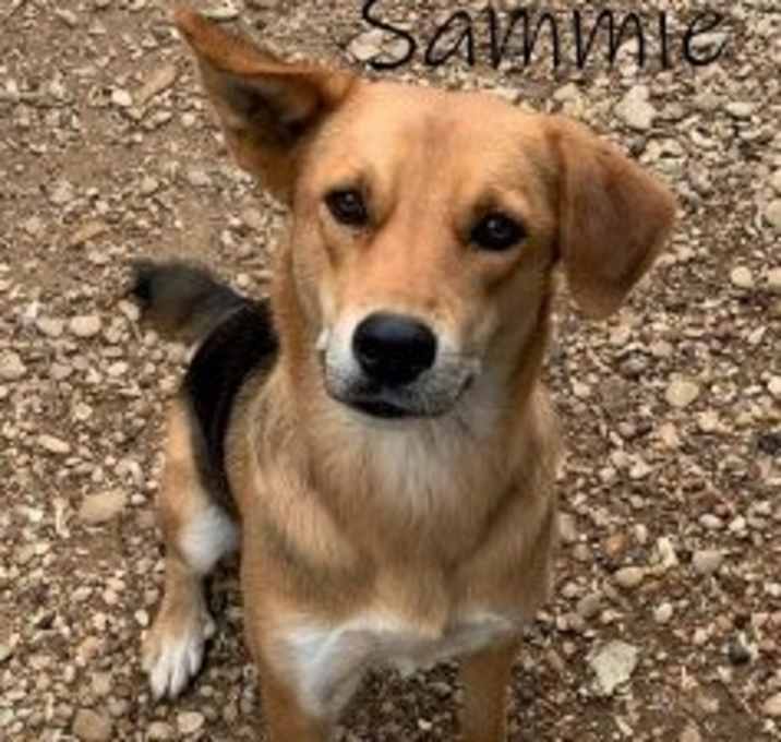 Photo of Sammie