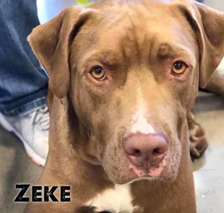 Photo of Zeke