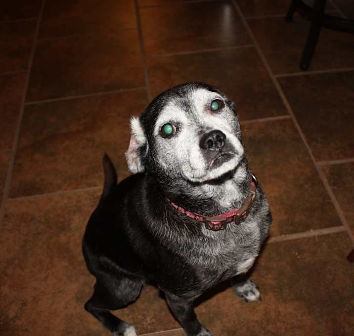 Photo of Ms. Princess