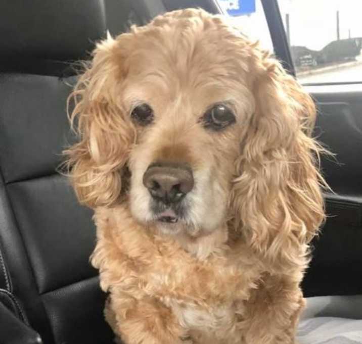 Photo of JC (John Charles)