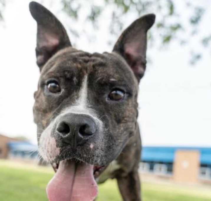 Photo of Magik (QCP)