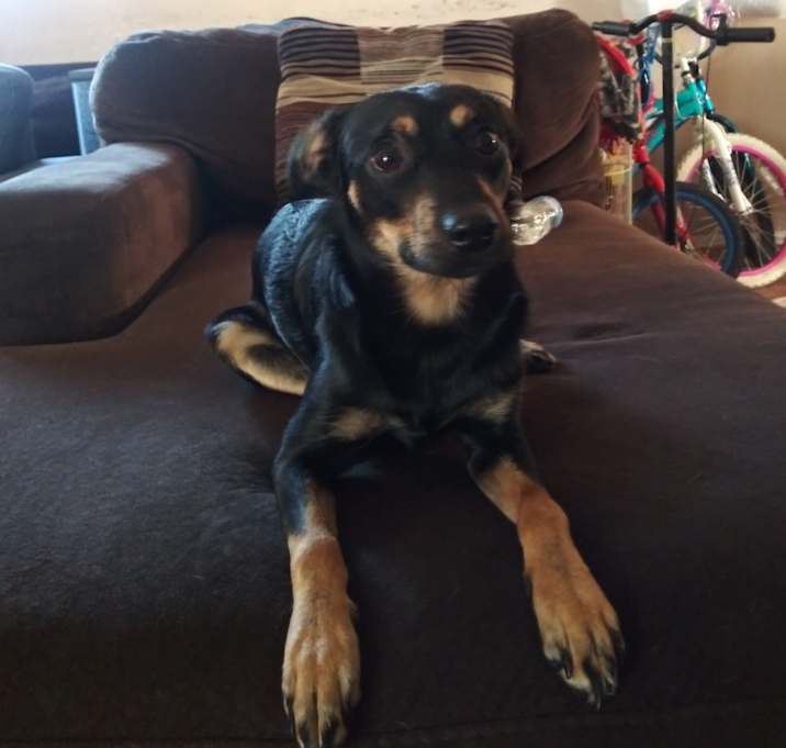 Photo of Coco max bethoven