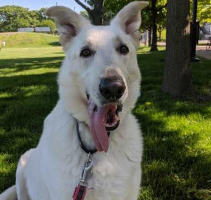 Photo of Sir Pickles