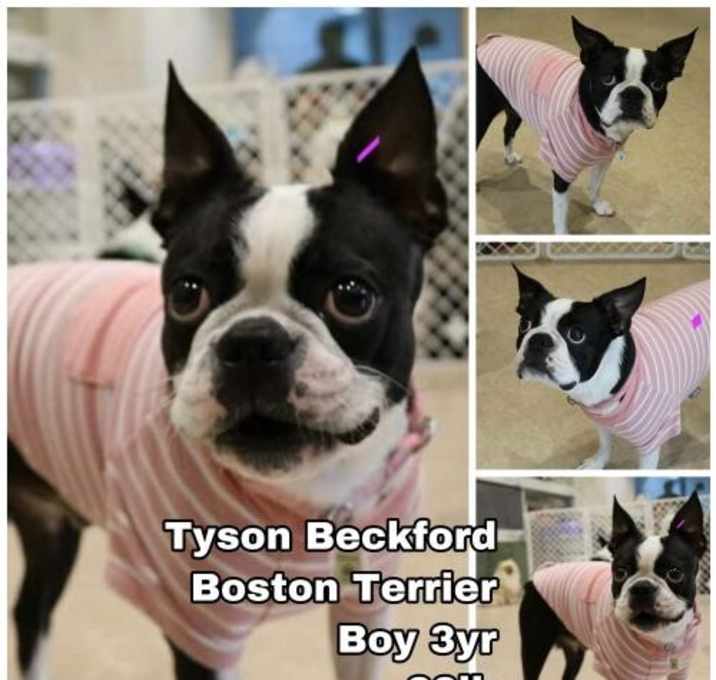 Photo of Tyson Beckford from Korea