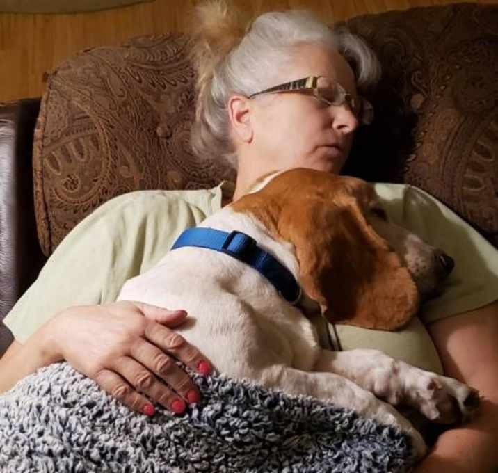 Photo of Trooper aka Nelson