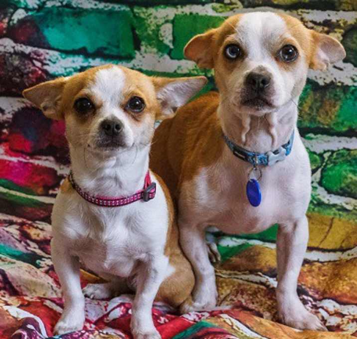 Photo of Alex and Riley