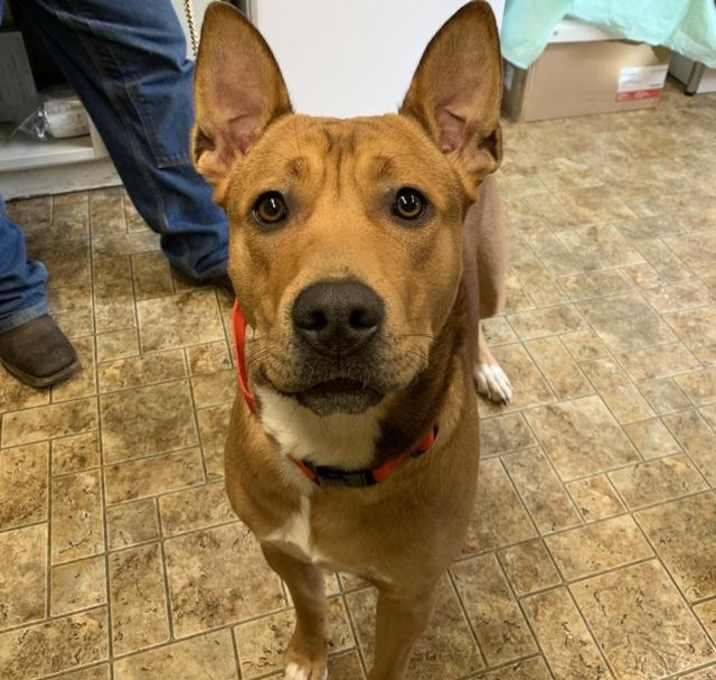 Photo of 19-365 Henesey