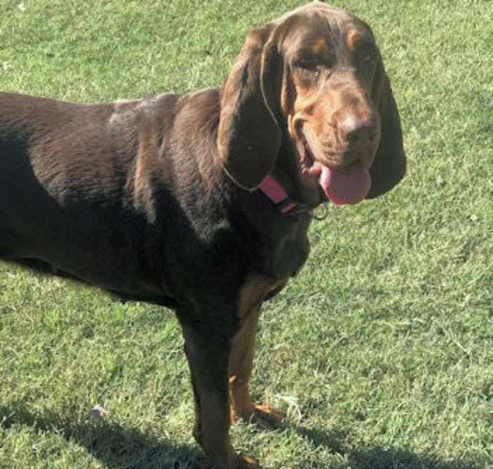 Photo of Uptown Girl