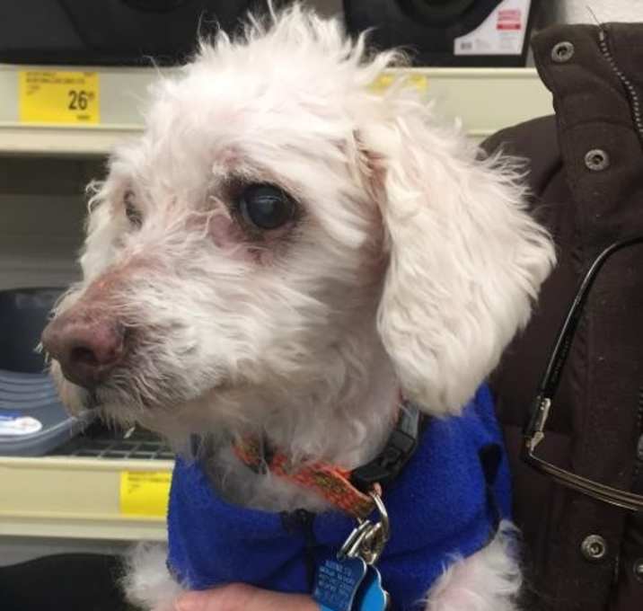 Photo of Bingo Hospice