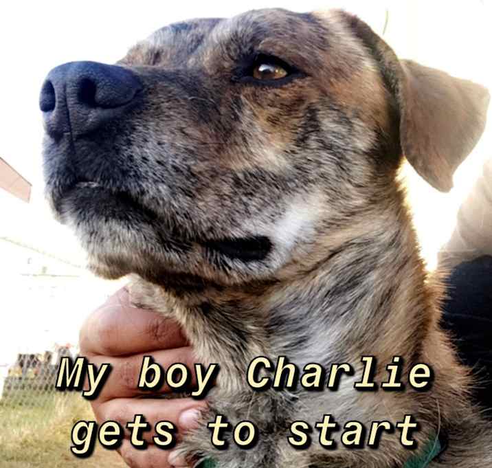 Photo of Charlie 