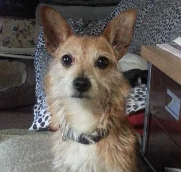 Photo of Wally-Pending