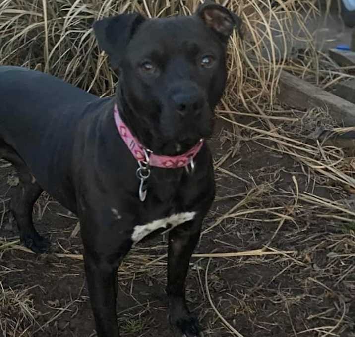 Photo of Keeren aka little mama