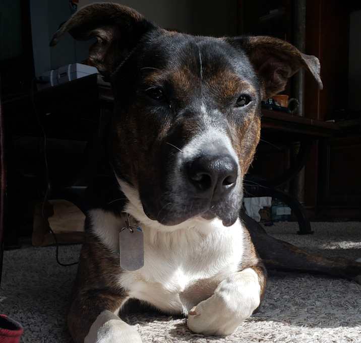 Photo of Emperor Nero