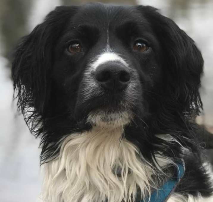 Photo of WA/ID Tucker