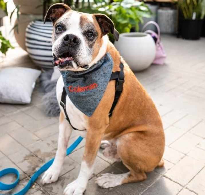 Photo of Coleman *Medical Hold*