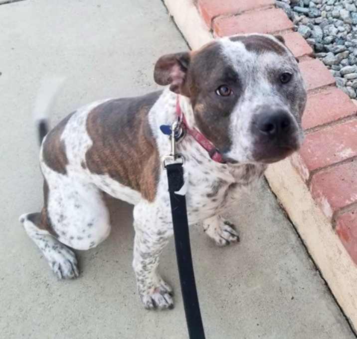 Photo of Beau (fka Nod)