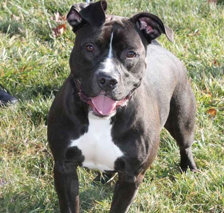 Photo of Tyler @DCAC