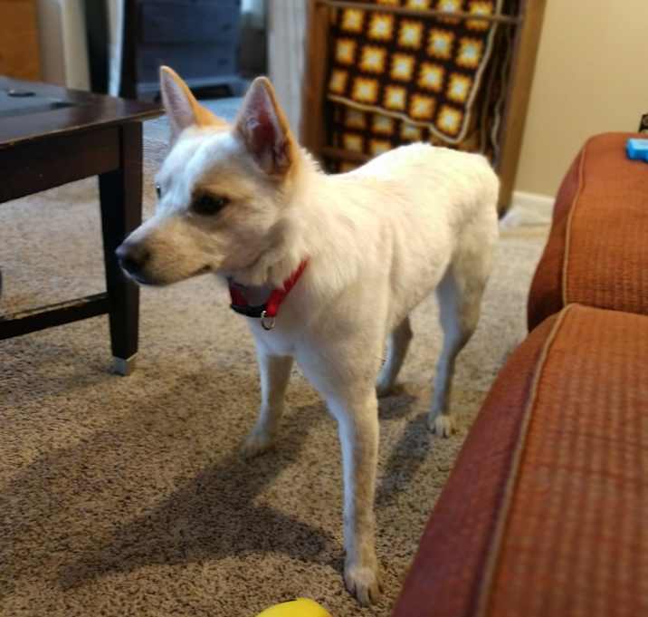 Photo of Ramona Flowers