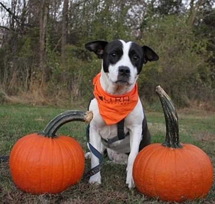 Photo of XP Nancy - Columbia, NJ