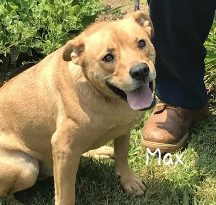 Photo of Max