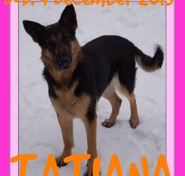 Photo of TATIANA-Girl