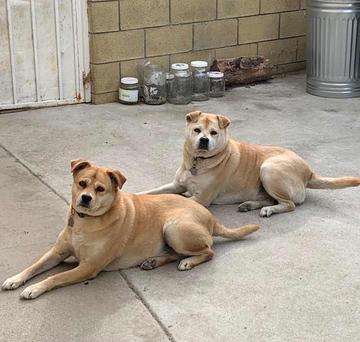 Photo of Jacky and Emmy