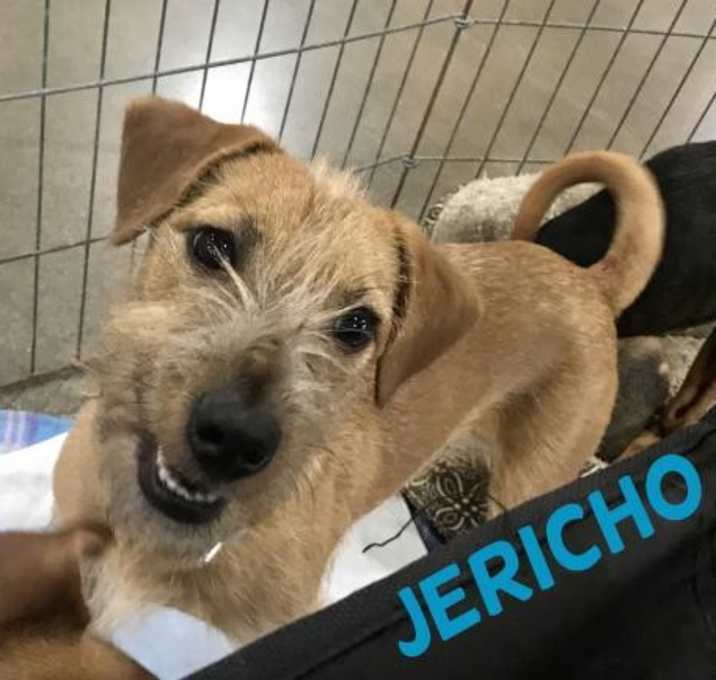 Photo of Jericho in Texarkana, TX