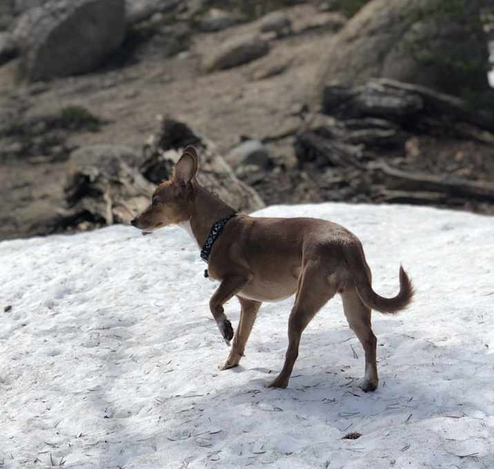 Photo of Duchess Marie