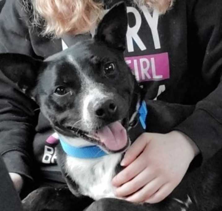 Photo of Angus Meyer