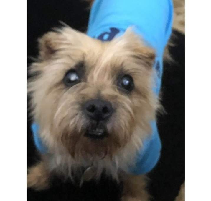 Photo of LAYKA in TN