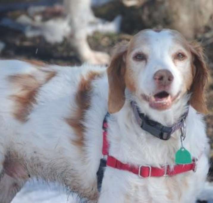 Photo of ON/Becca (bonded to ON/Britta)